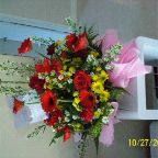 100_0729.JPG